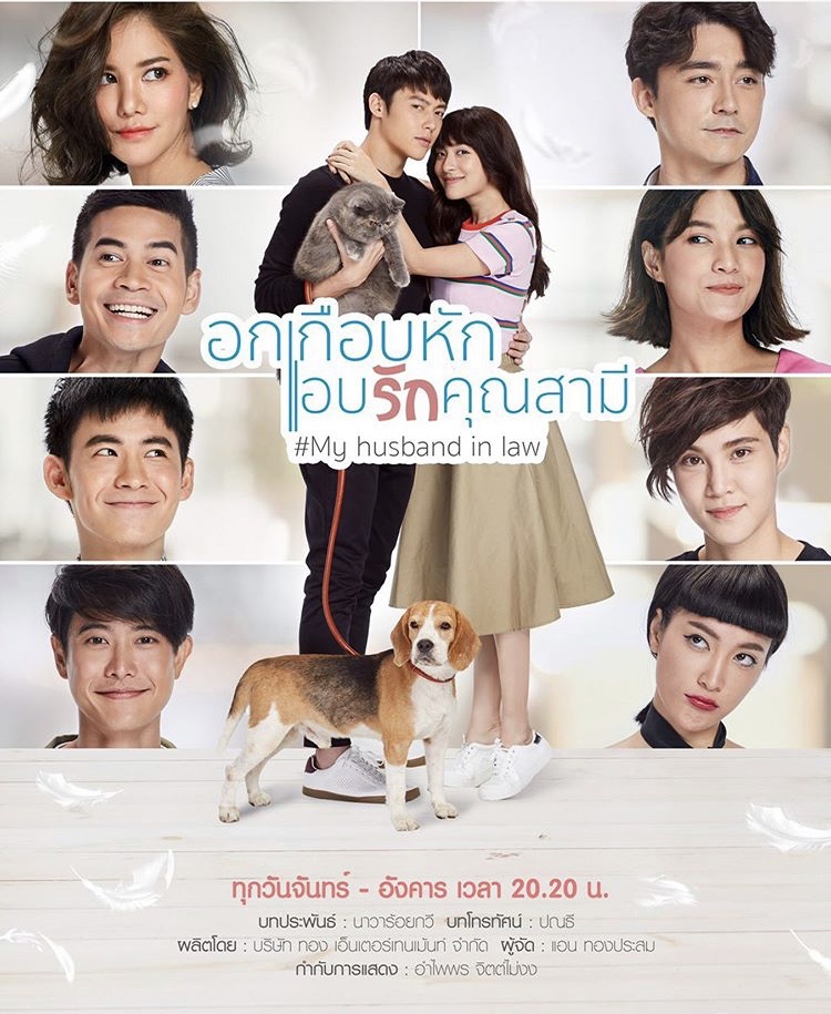 Sinopsis dan Review Drama Thailand My Husband in Law (2020)