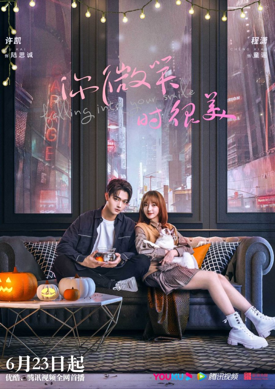 Falling Into Your Smile (2021) : Sinopsis dan Review